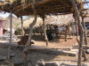 Heera's current home, to be replaced by Pat