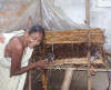 Woman with her mushrooms