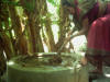 Woman stirring digester
